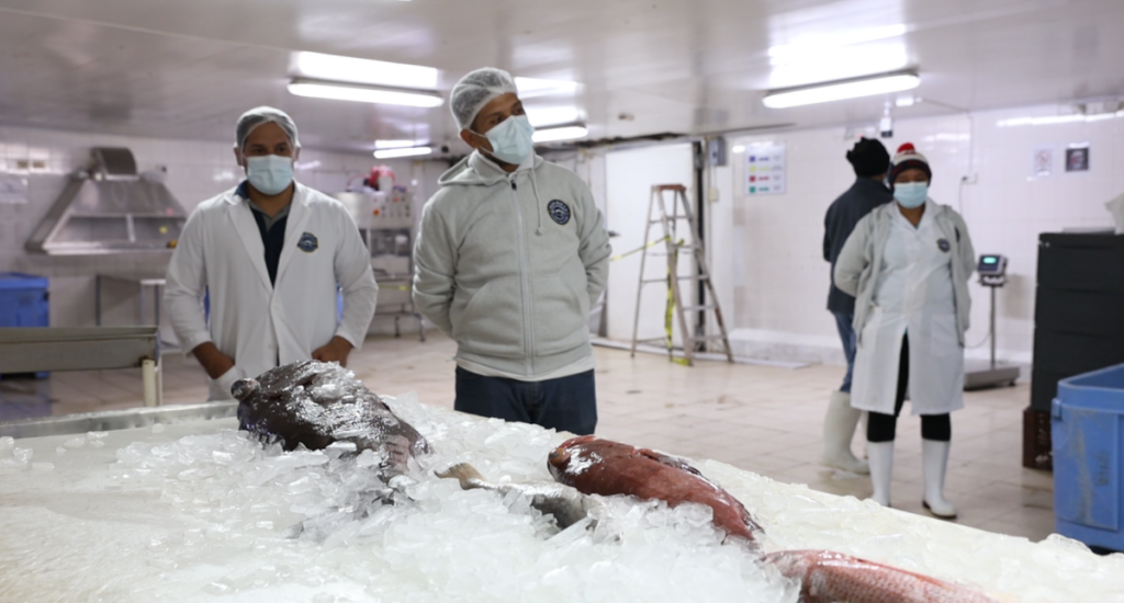 Exportaciones hacia el Caribe